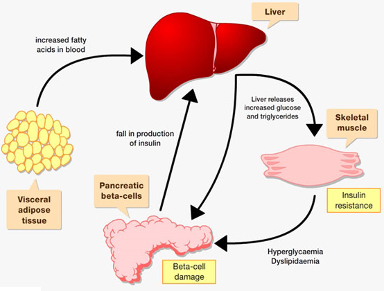 Can Energy Drinks Cause Type Diabetes Can Energy Drinks Cause Type Diabetes