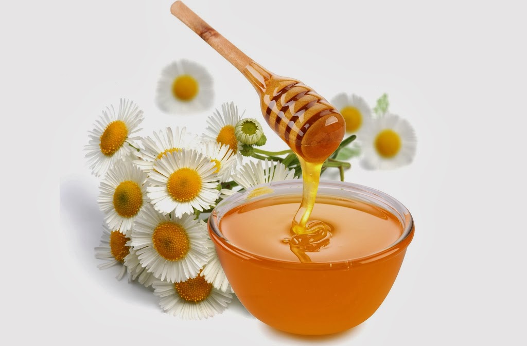 herbal remedies for allergy