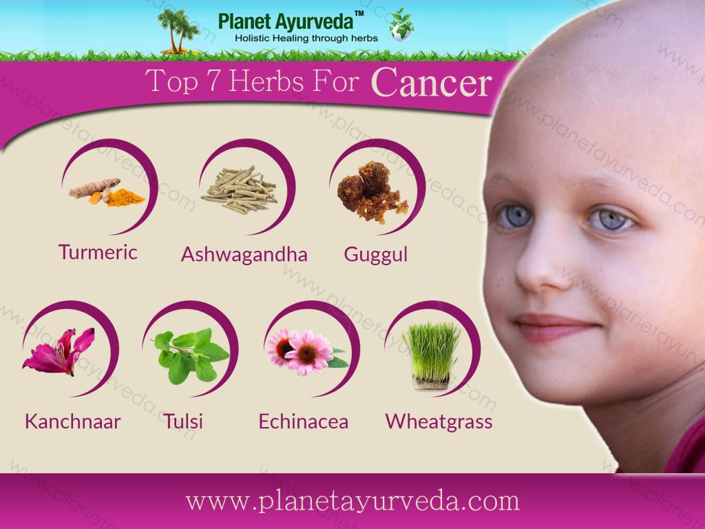 Top 7 Herbs for Cancer in Ayurveda