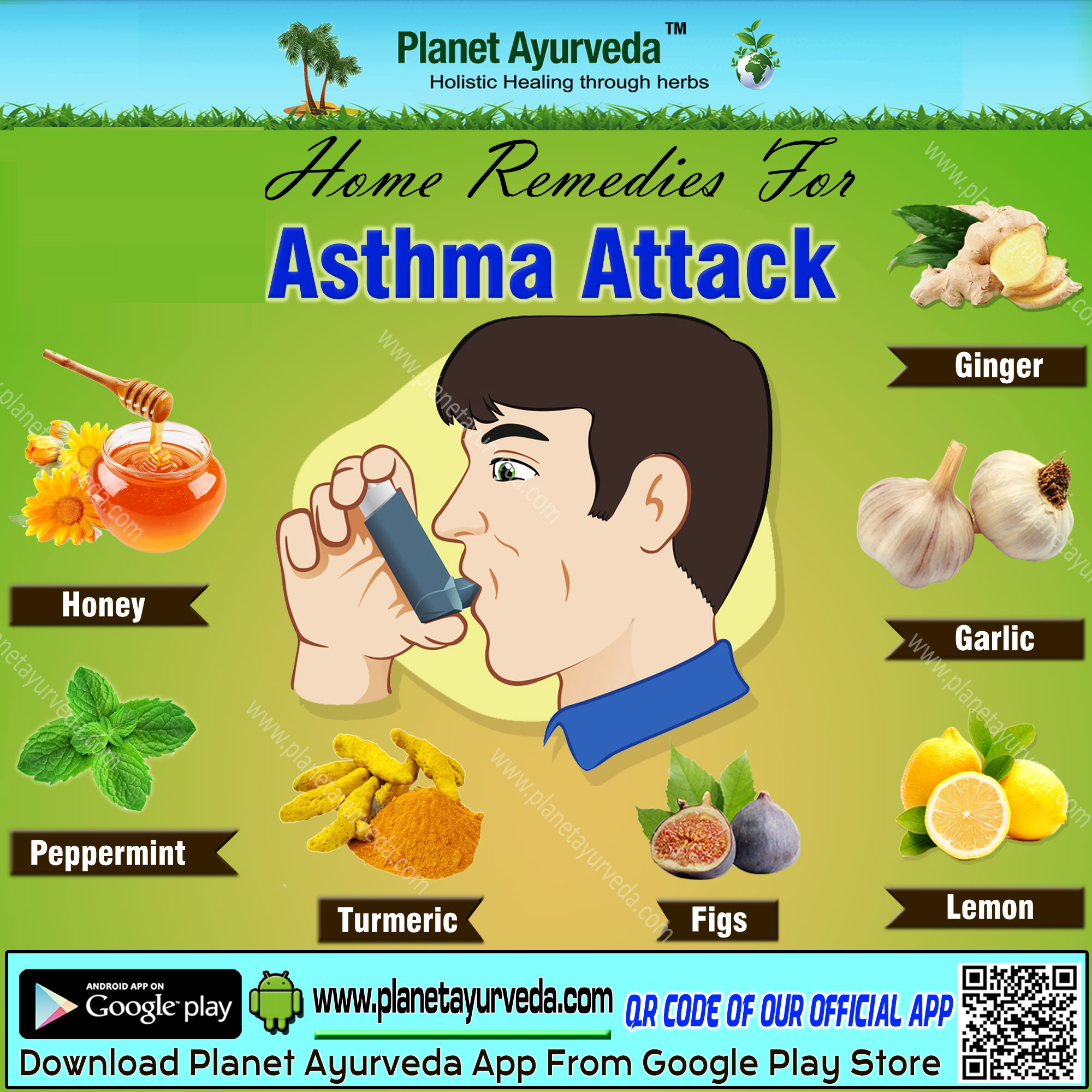 Asthma Remedies : Common and Home Remedies for Asthma - Rijal's Blog