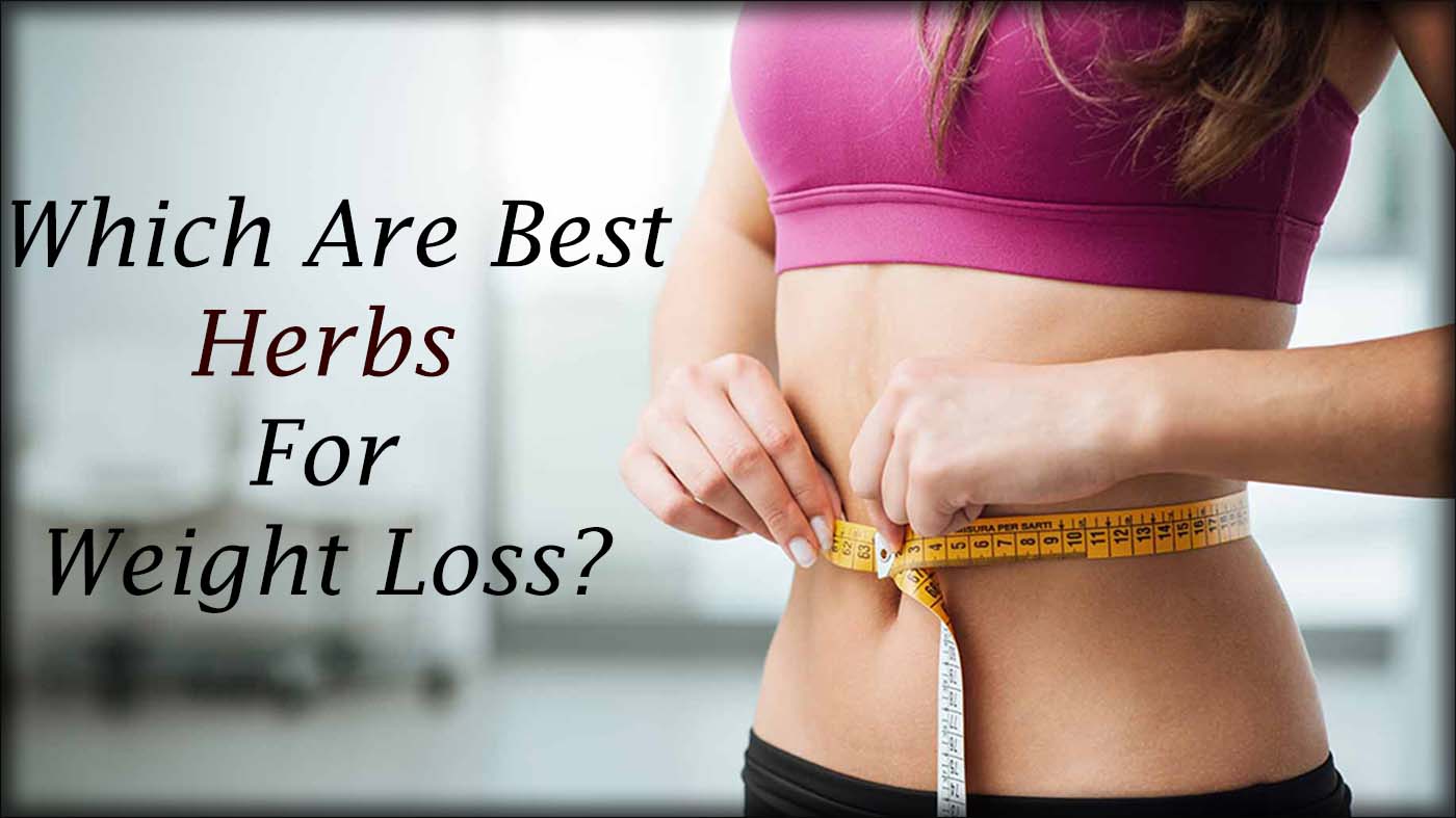 Weight loss herbal remedies