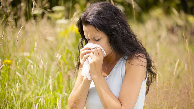 Herbal Remedies for Allergy
