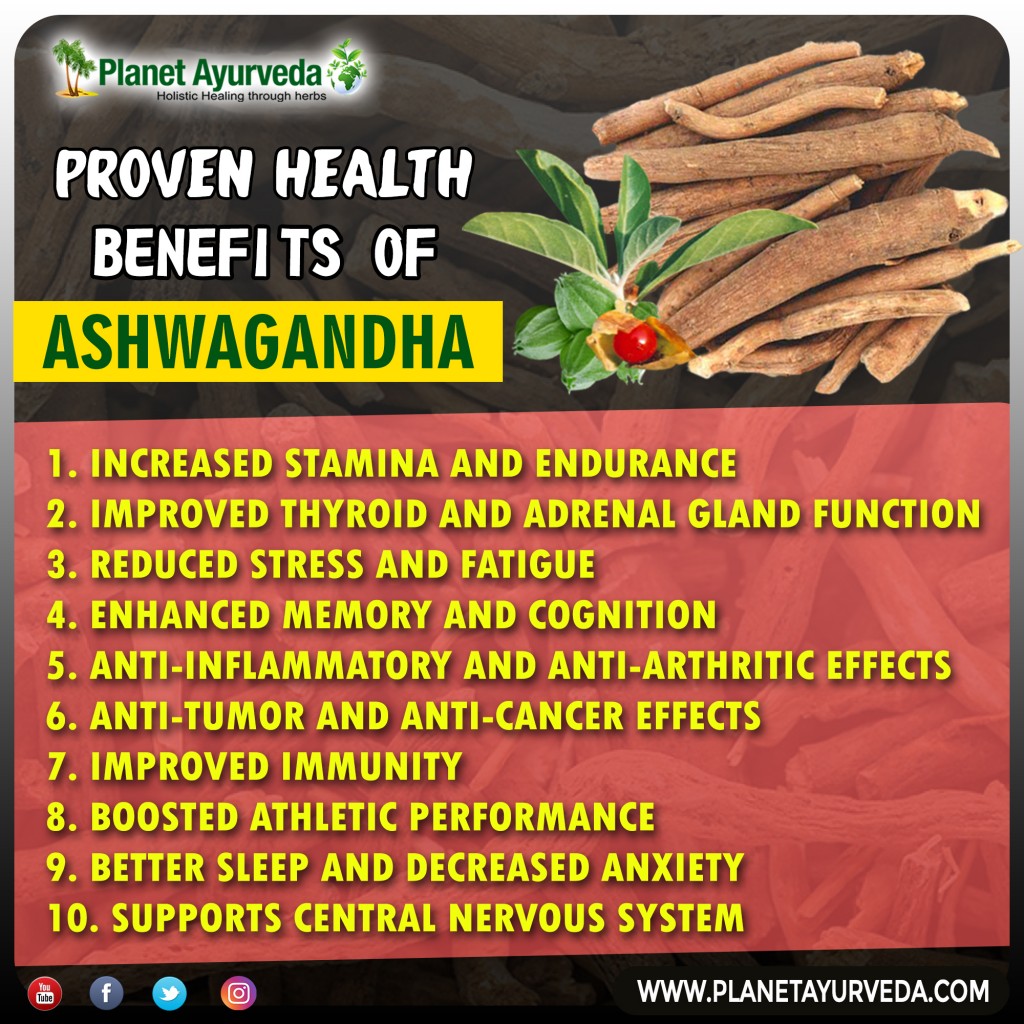 ashwagandha root powder benefits for female