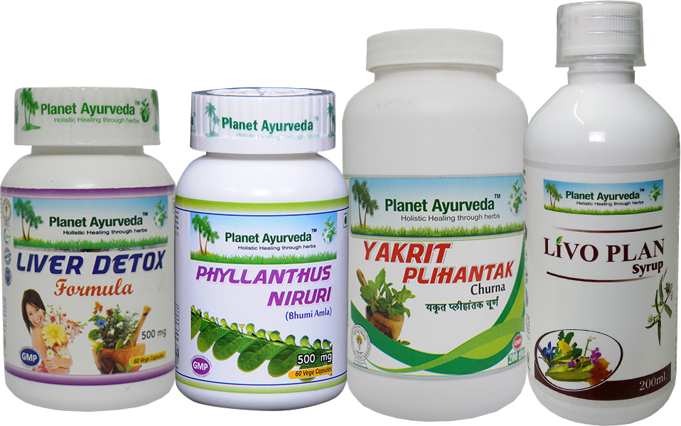 Treatment of Hepatitis in Dogs Treatment of Hepatitis in Dogs