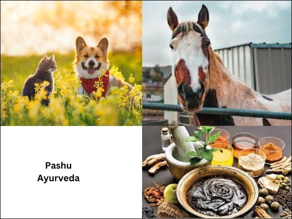 Ayurveda for Animals- Pashu Ayurveda